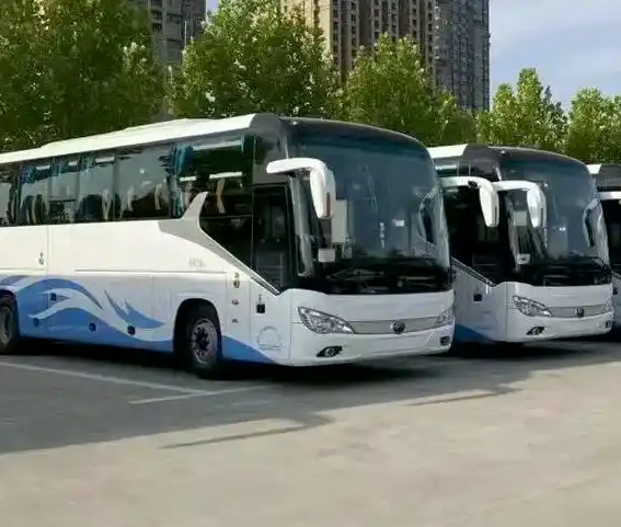 1736836326184.jpg